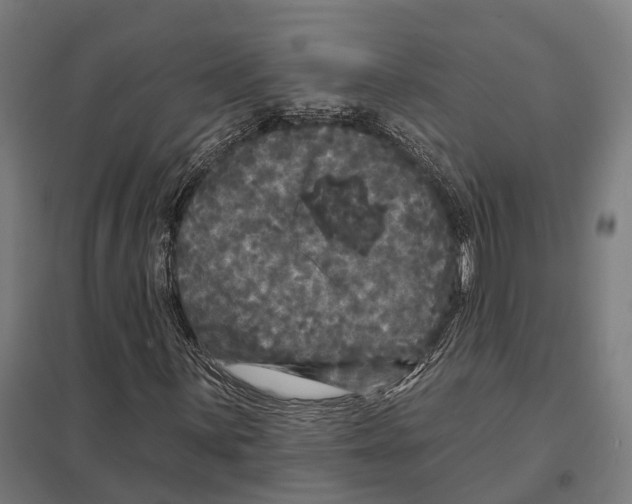 X0000097631059200803281054