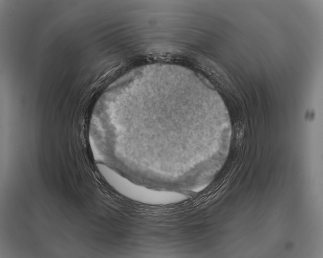 X0000097631060200803281054