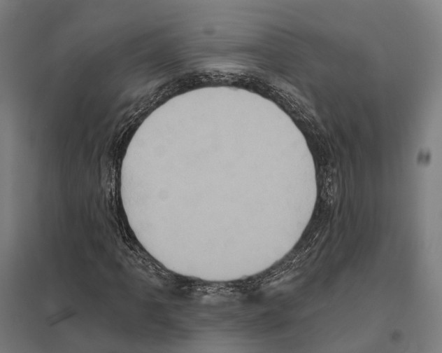X0000097631061200803281054