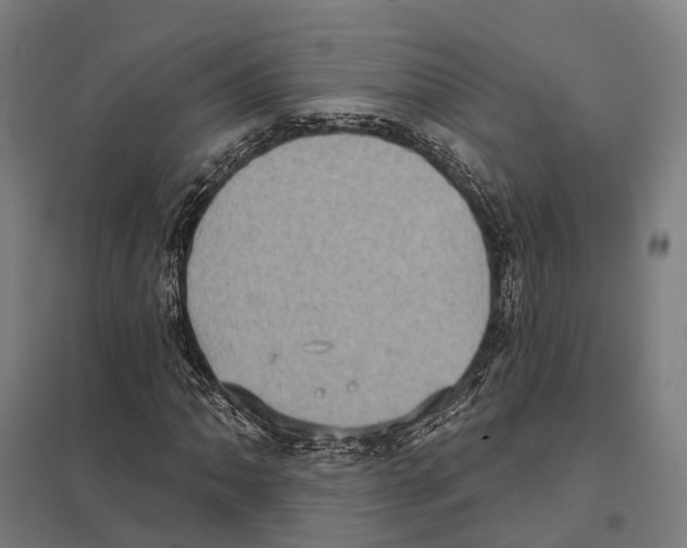 X0000097631062200803281054