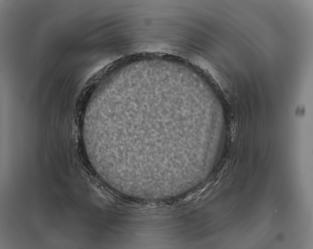 X0000097631064200803281054