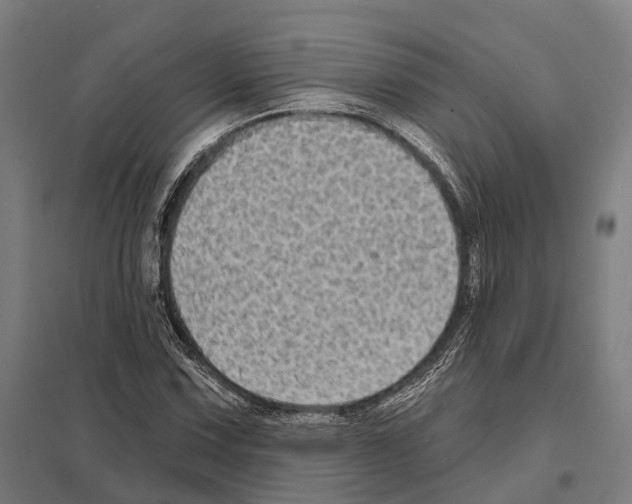 X0000097631067200803281054