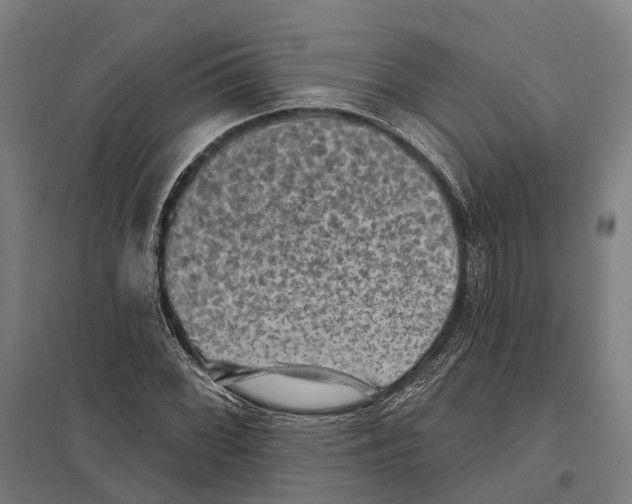 X0000097631068200803281054