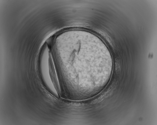 X0000097631069200803281054