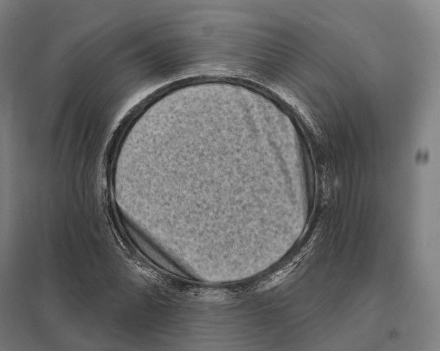 X0000097631070200803281054