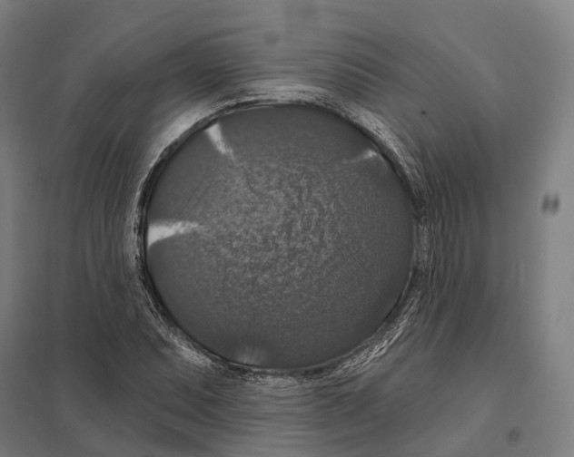 X0000097631071200803281054