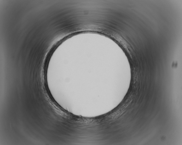 X0000097631072200803281054