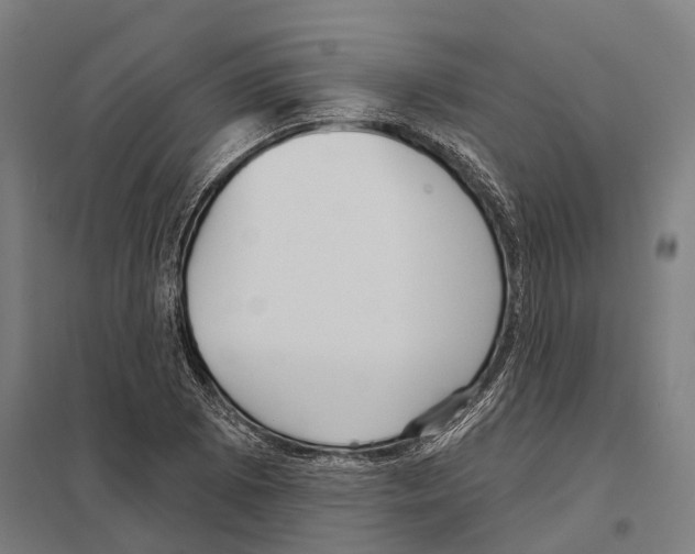 X0000097631073200803281054