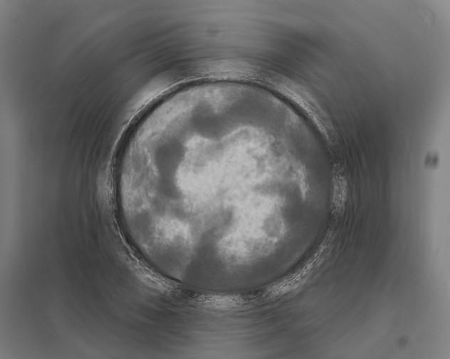X0000097631074200803281054