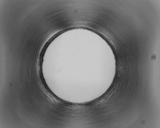 X0000097631076200803281054