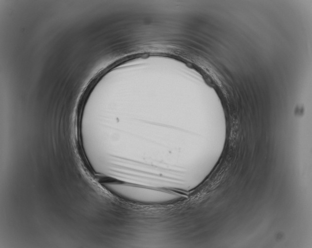 X0000097631080200803281054
