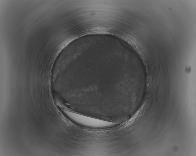 X0000097631081200803281054