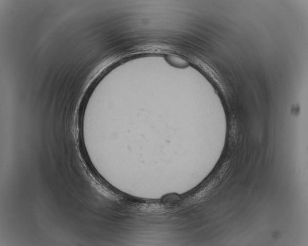 X0000097631082200803281054