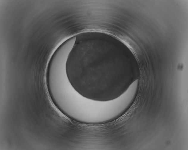 X0000097631084200803281054