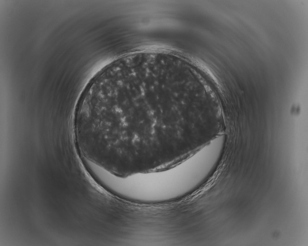 X0000097631087200803281054