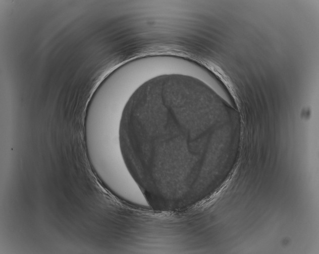 X0000097631089200803281054
