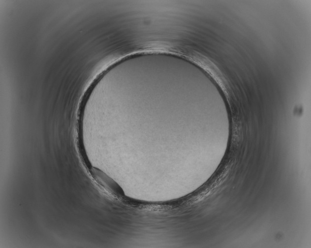 X0000097631093200803281054