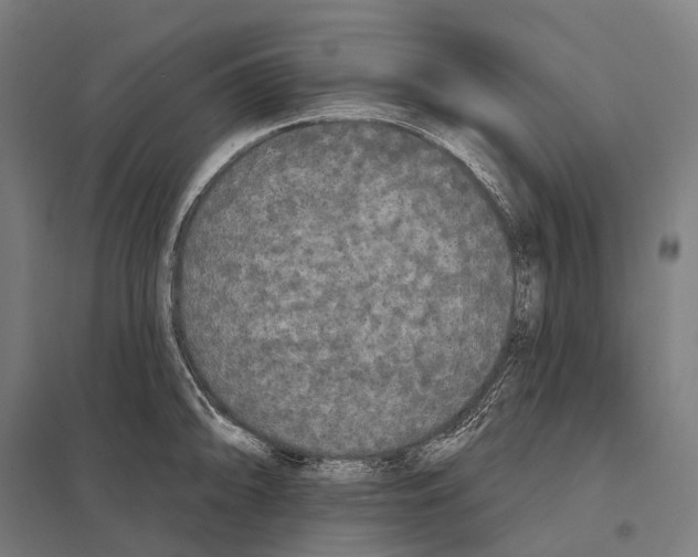 X0000097631094200803281054