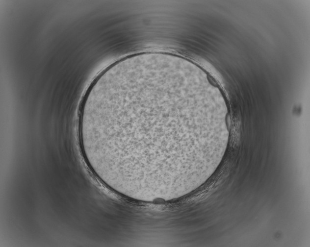 X0000097631096200803281054