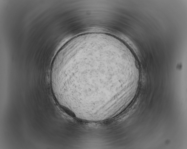 X0000097631097200803281054
