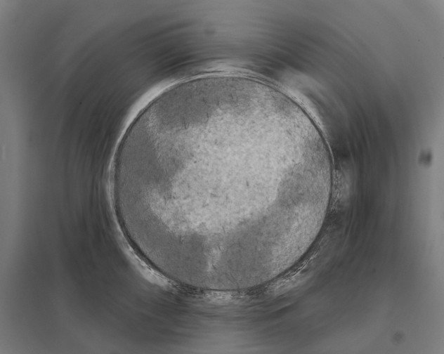 X0000097631098200803281054