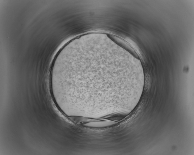 X0000097631100200803281054