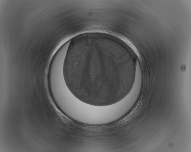 X0000097631101200803281054