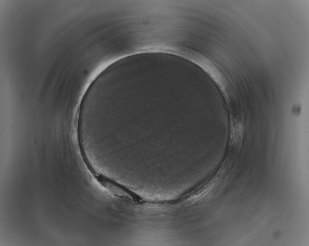 X0000097631102200803281054