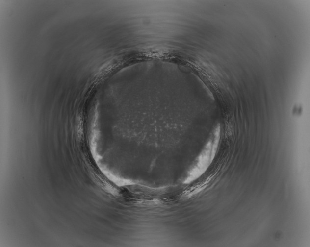 X0000097631106200803281053