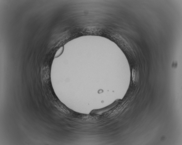 X0000097631107200803281053
