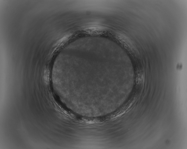 X0000097631108200803281053