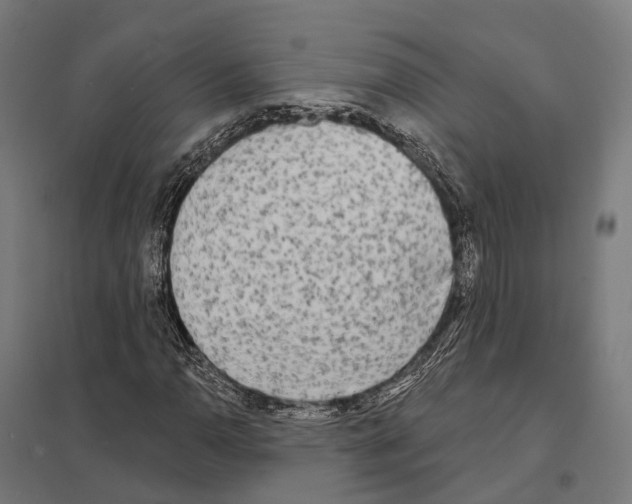 X0000097631110200803281053
