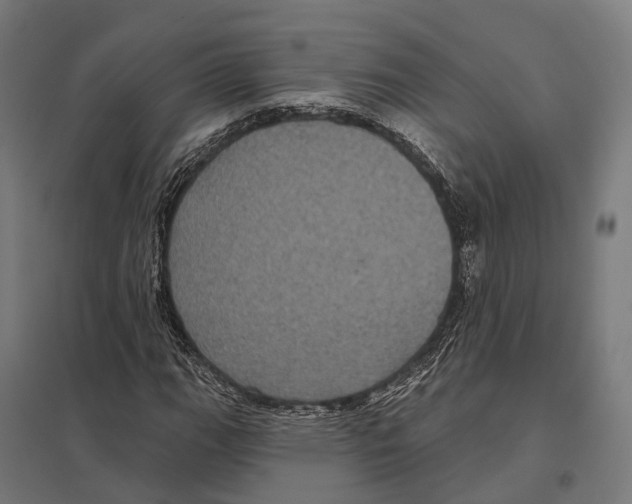 X0000097631111200803281053