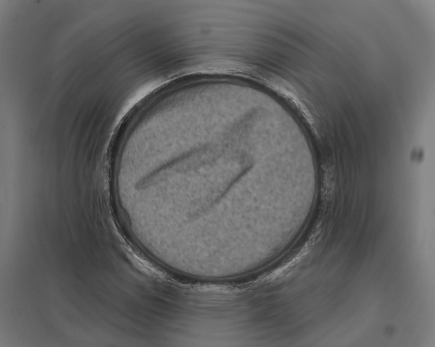 X0000097631114200803281053