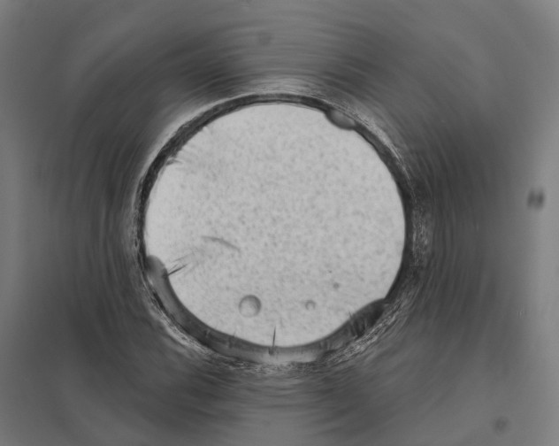 X0000097631116200803281053