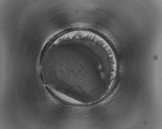 X0000097631117200803281053