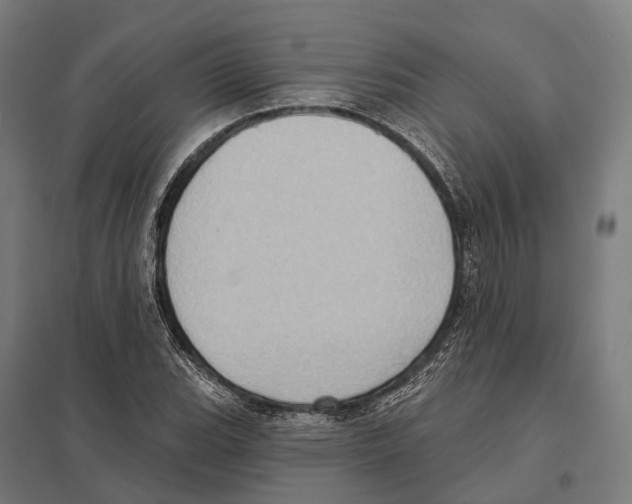 X0000097631119200803281053