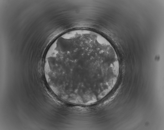 X0000097631121200803281053