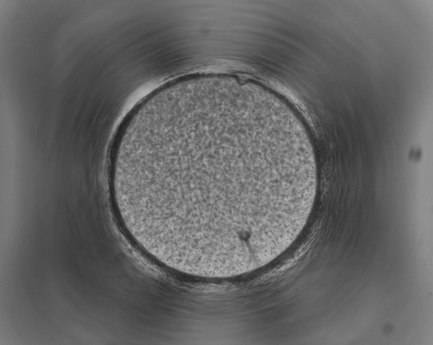 X0000097631122200803281053
