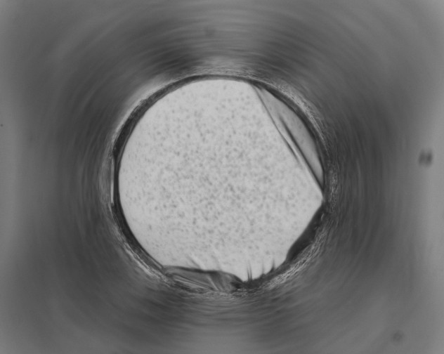 X0000097631123200803281053