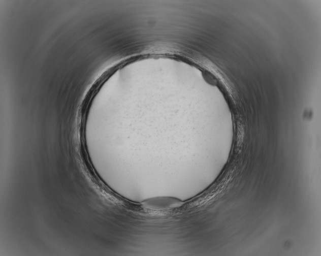 X0000097631124200803281053