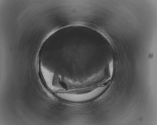 X0000097631127200803281053