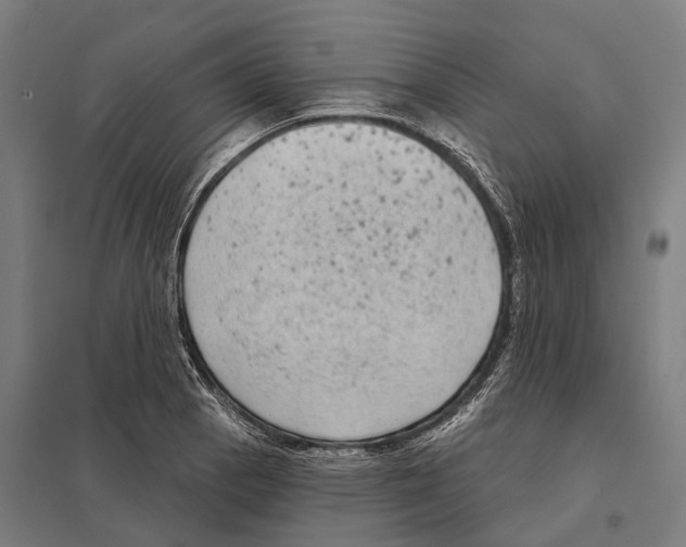 X0000097631129200803281053