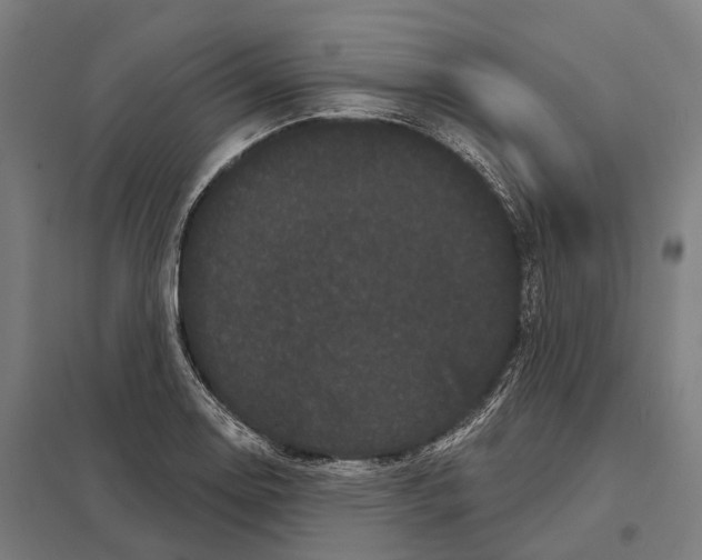 X0000097631130200803281053