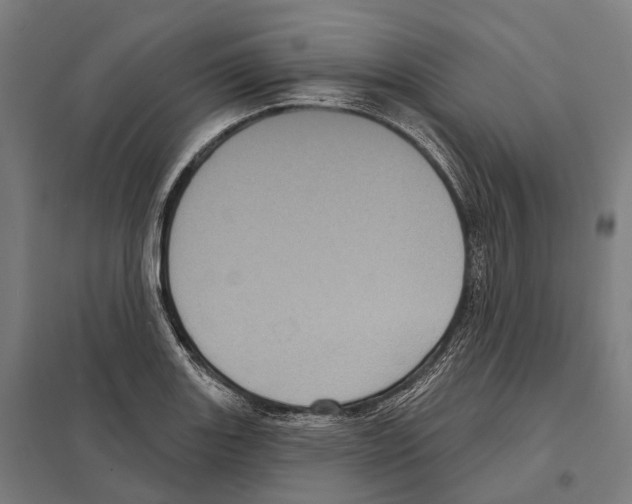 X0000097631131200803281053