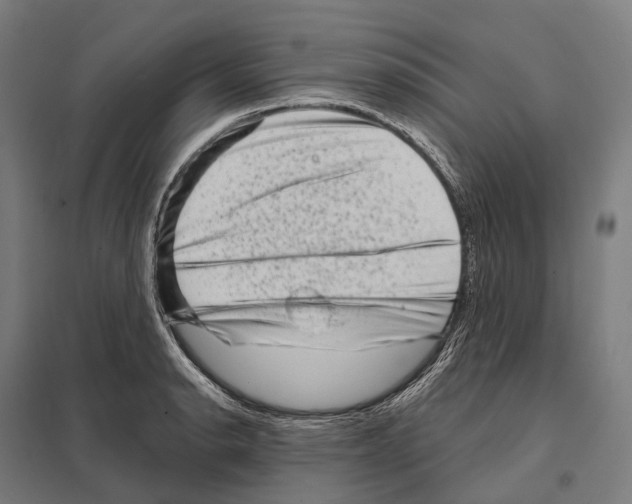 X0000097631134200803281053