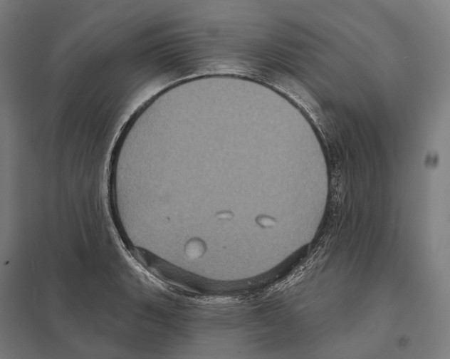 X0000097631135200803281053