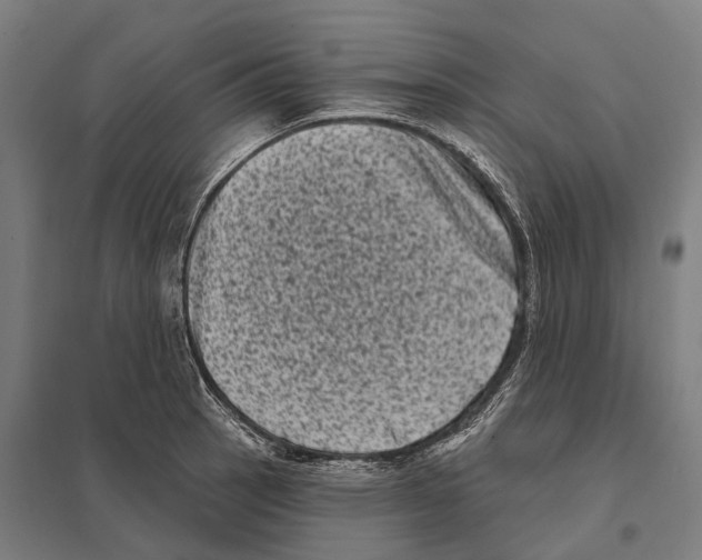 X0000097631137200803281053