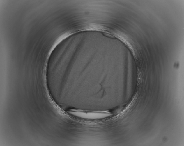 X0000097631138200803281053
