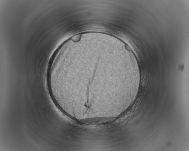 X0000097631139200803281053
